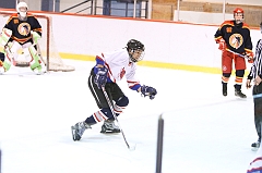 MidgetB_3102