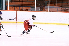 MidgetB_3228