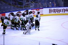 IMG_6434