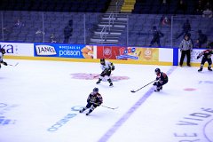 IMG_6452