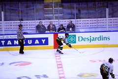 IMG_6460