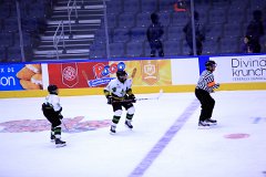 IMG_6481