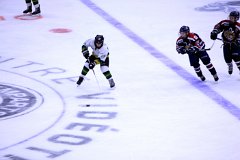 IMG_6486