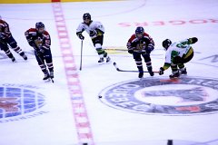IMG_6489