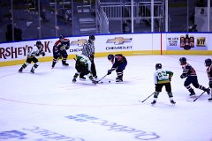 IMG_6495
