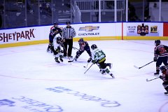 IMG_6496