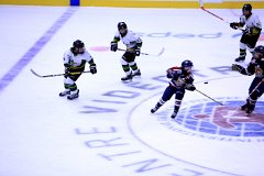 IMG_6498