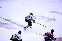 IMG_6501