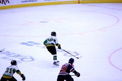 IMG_6502