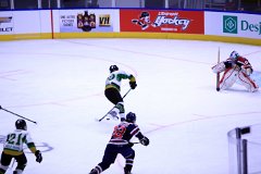 IMG_6503