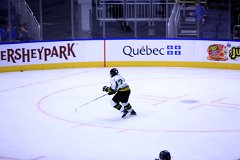 IMG_6510