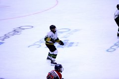 IMG_6515