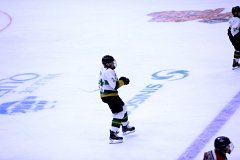 IMG_6516