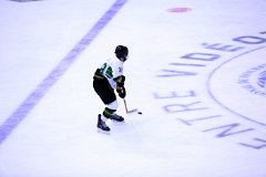 IMG_6517