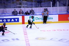 IMG_6520