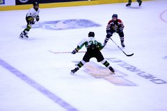 IMG_6522