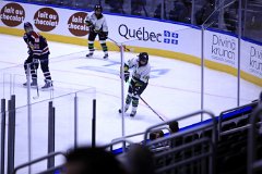 IMG_6524