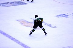IMG_6526