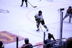 IMG_6531