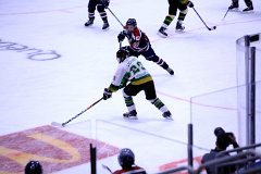 IMG_6532
