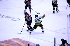 IMG_6533