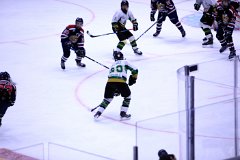 IMG_6534