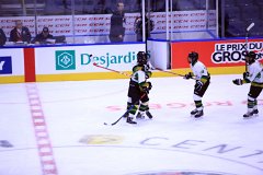 IMG_6539