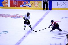 IMG_6540