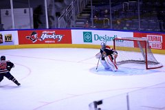 IMG_6546