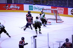 IMG_6555