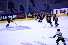 IMG_6569