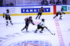 IMG_6588