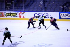 IMG_6600