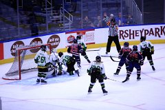 IMG_6611