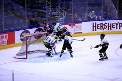 IMG_6617