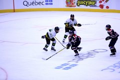 IMG_6627