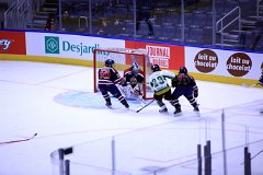 IMG_6637