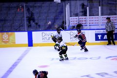 IMG_6644