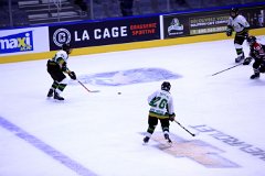 IMG_6649