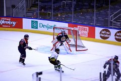 IMG_6657