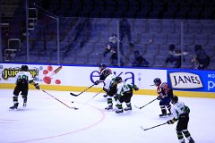 IMG_6661