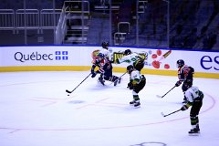 IMG_6662