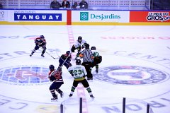 IMG_6681