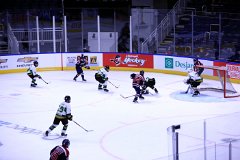 IMG_6688