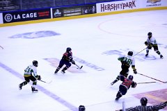 IMG_6691