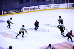 IMG_6692