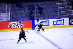 IMG_6702