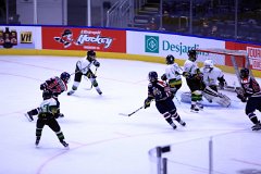 IMG_6725