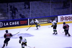 IMG_6728