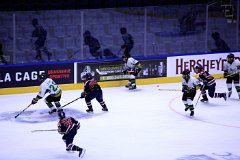 IMG_6742
